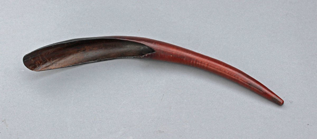 Antique African Horn Spoon Or Ladle, Probably Ethiopian, Beautiful Patina, 35 Cm-photo-2