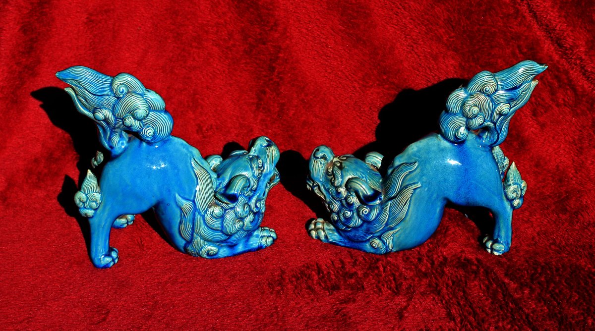 Paire De Lions Karashishi Japonais Anciens Émail Turquoise Meiji, XIXe-photo-4