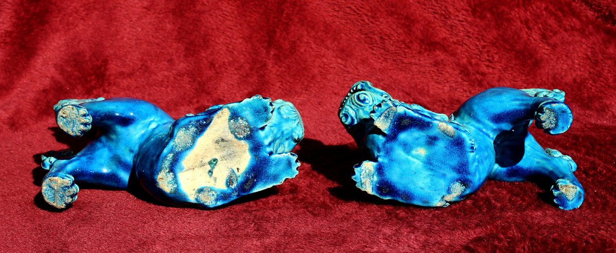 Paire De Lions Karashishi Japonais Anciens Émail Turquoise Meiji, XIXe-photo-2