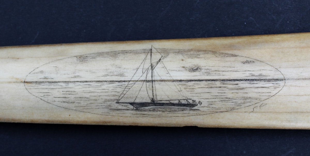 Rostre d’Espadon Ancien Gravé Scrimshaw Voilier Yacht, Monogrammé SC, Vers 1900-photo-2