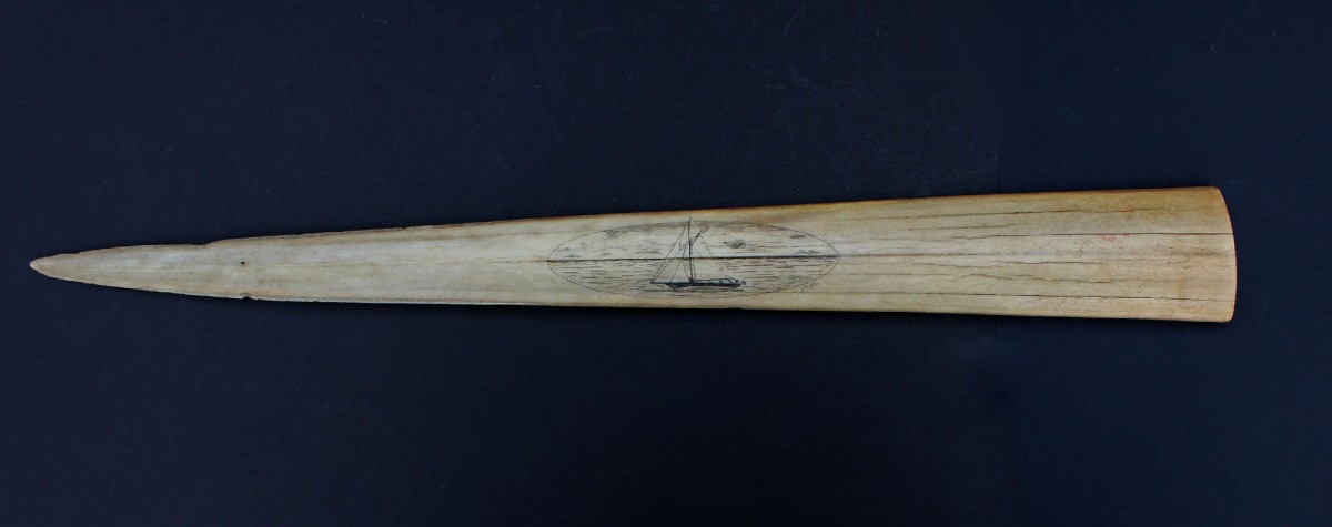 Rostre d’Espadon Ancien Gravé Scrimshaw Voilier Yacht, Monogrammé SC, Vers 1900