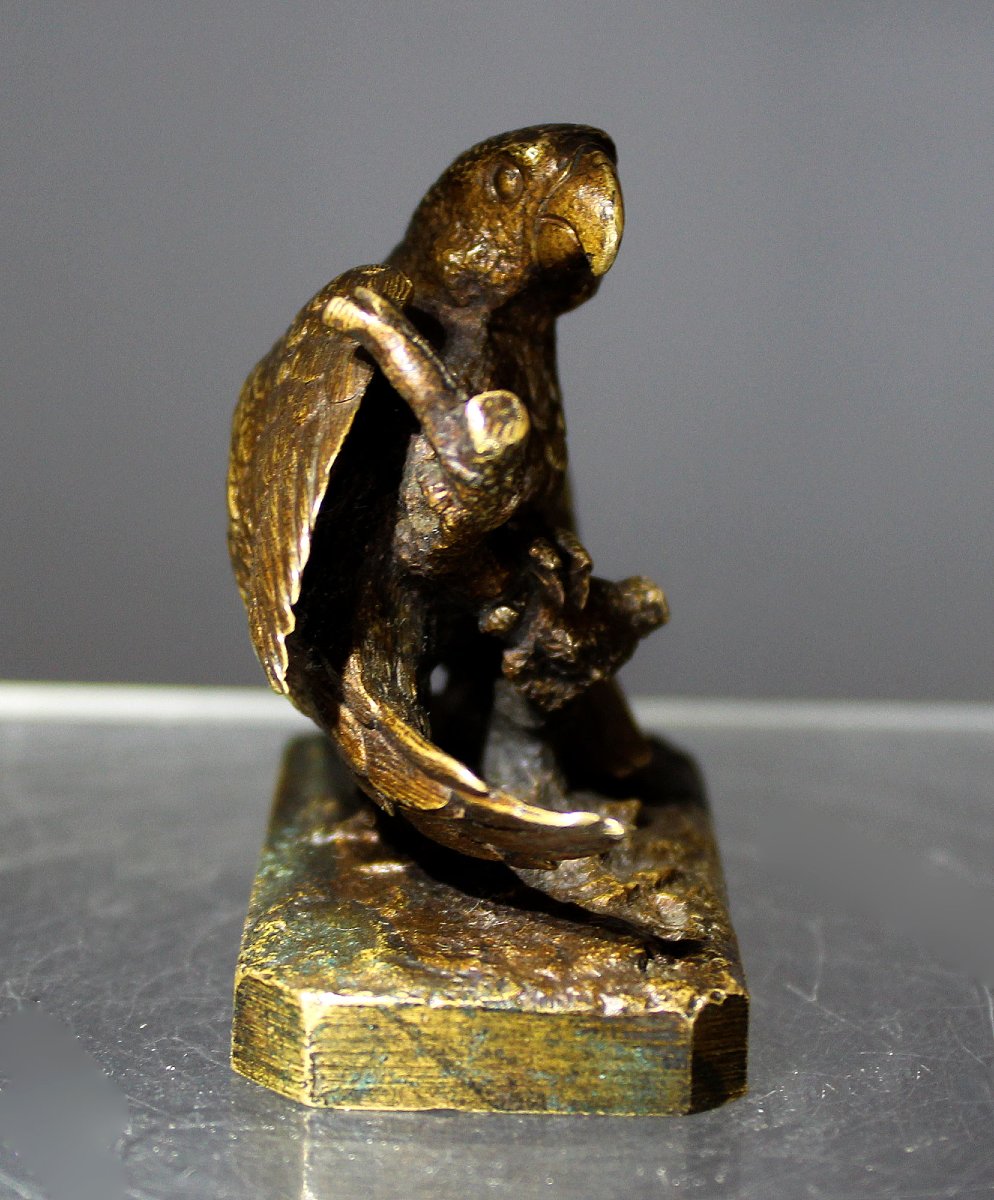 Antique Signed Christophe Fratin Miniature Bronze Parrot, France, 19th Century-photo-4