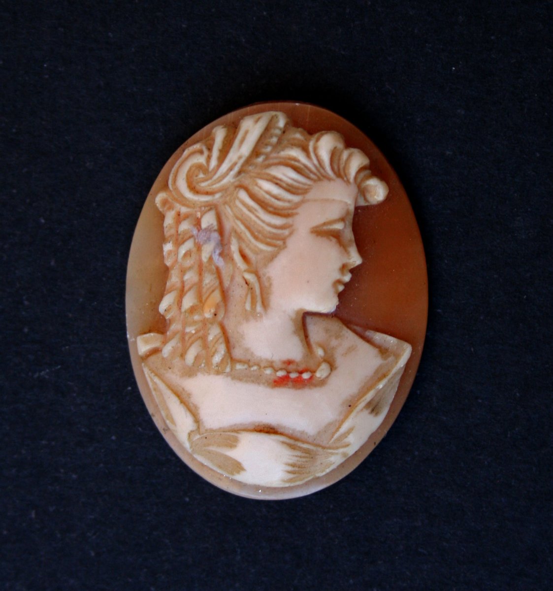 Collection Of Antique Shell Cameos-photo-5