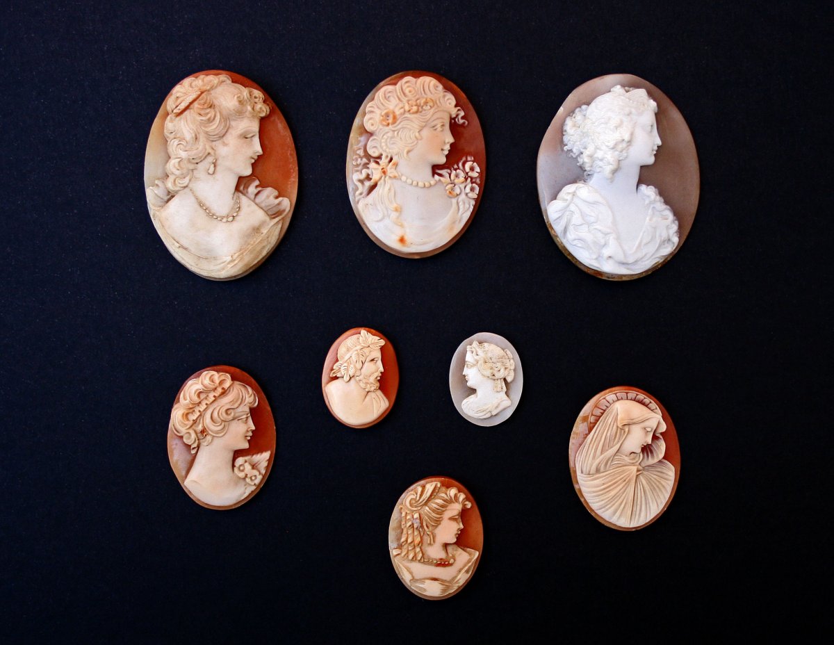 Collection Of Antique Shell Cameos