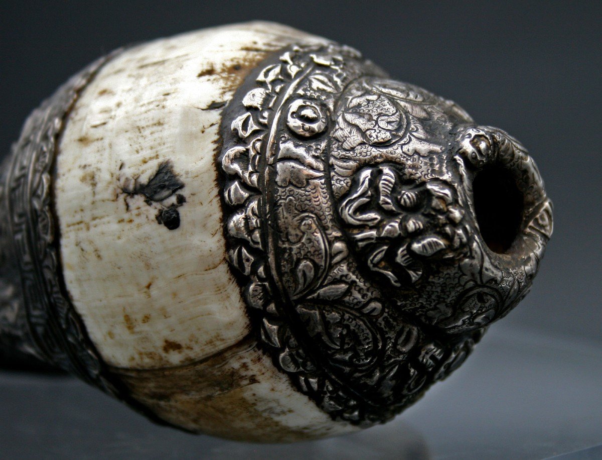 Antique Tibetan Conch Mounted In  Silver Shankha-photo-3
