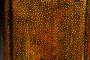 1549657-alb-68296f83989fb.jpg