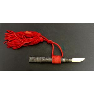 Premiere-Image-1711355