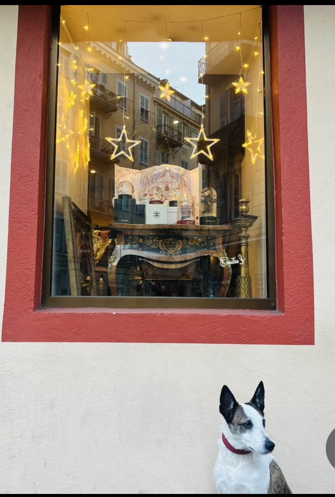 acanthe-antiquites-nice-diapo-0