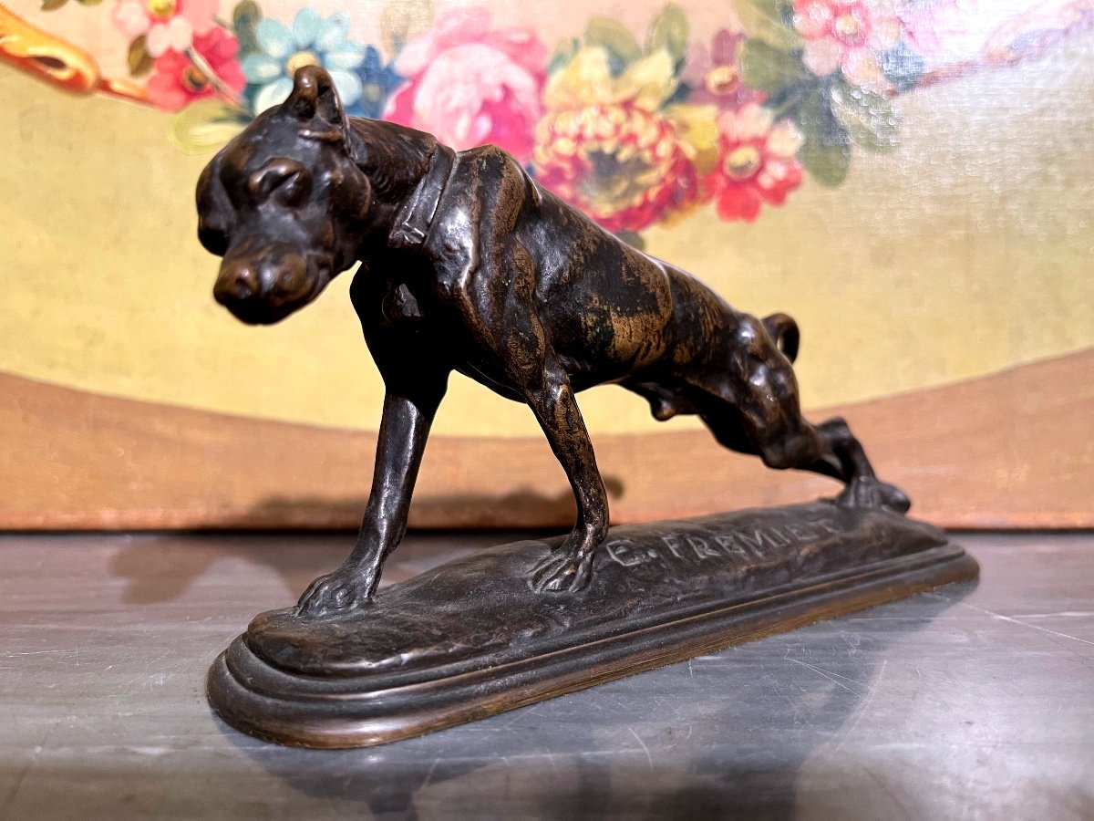 Bronze, Chien De Fremiet, XIX ème.-photo-2