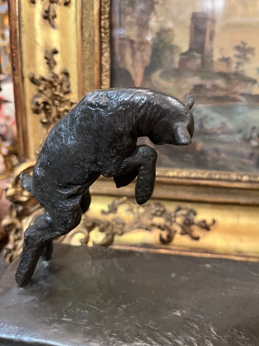 Paul  Silvestre, Jeune Femme Au Chevreau, bronze.-photo-4