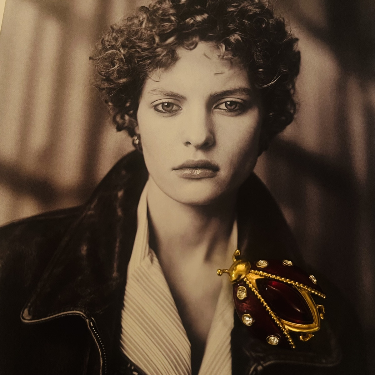 Christian Dior, Ladybug Brooch -photo-4