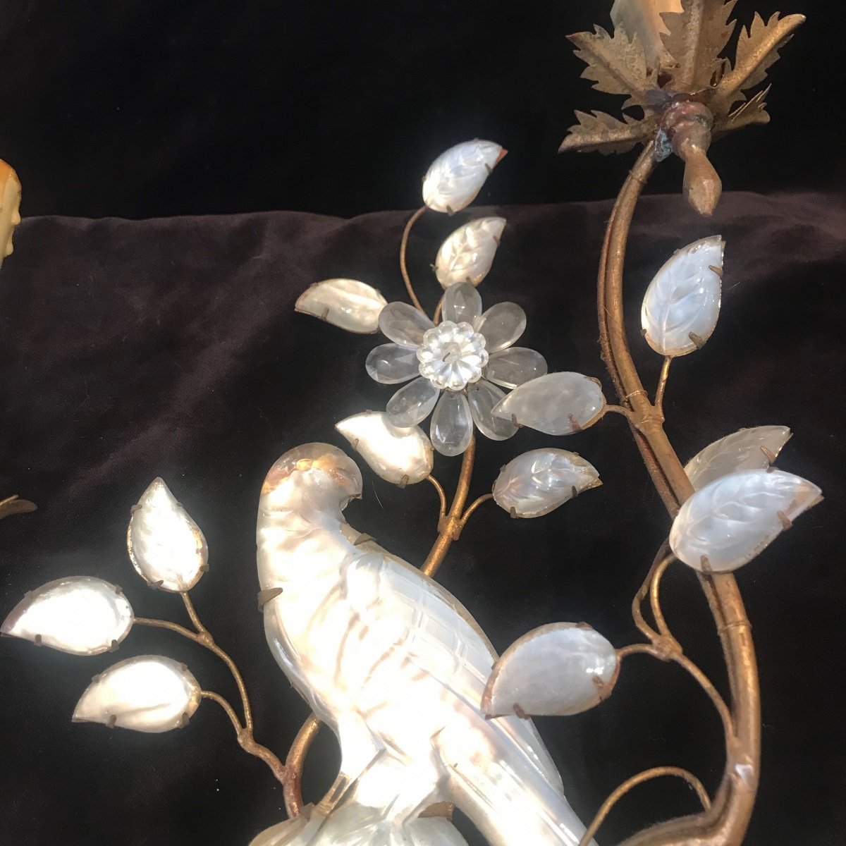 Appliques Baguès aux Perruches -photo-3