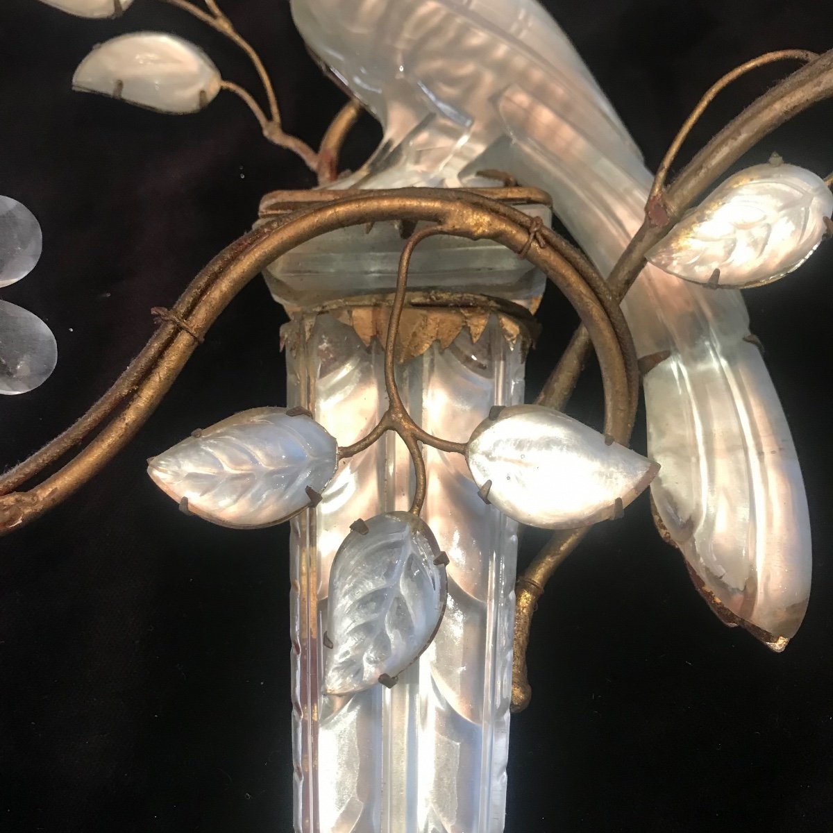 Appliques Baguès aux Perruches -photo-1