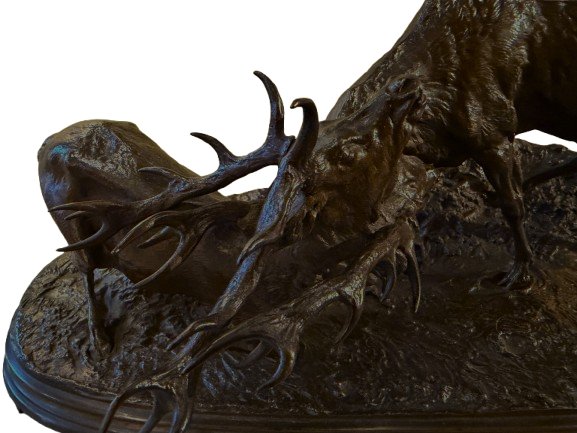 Deer Fight Pj.mene-photo-2