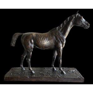 Horse Bronze Proof Signed Fratin