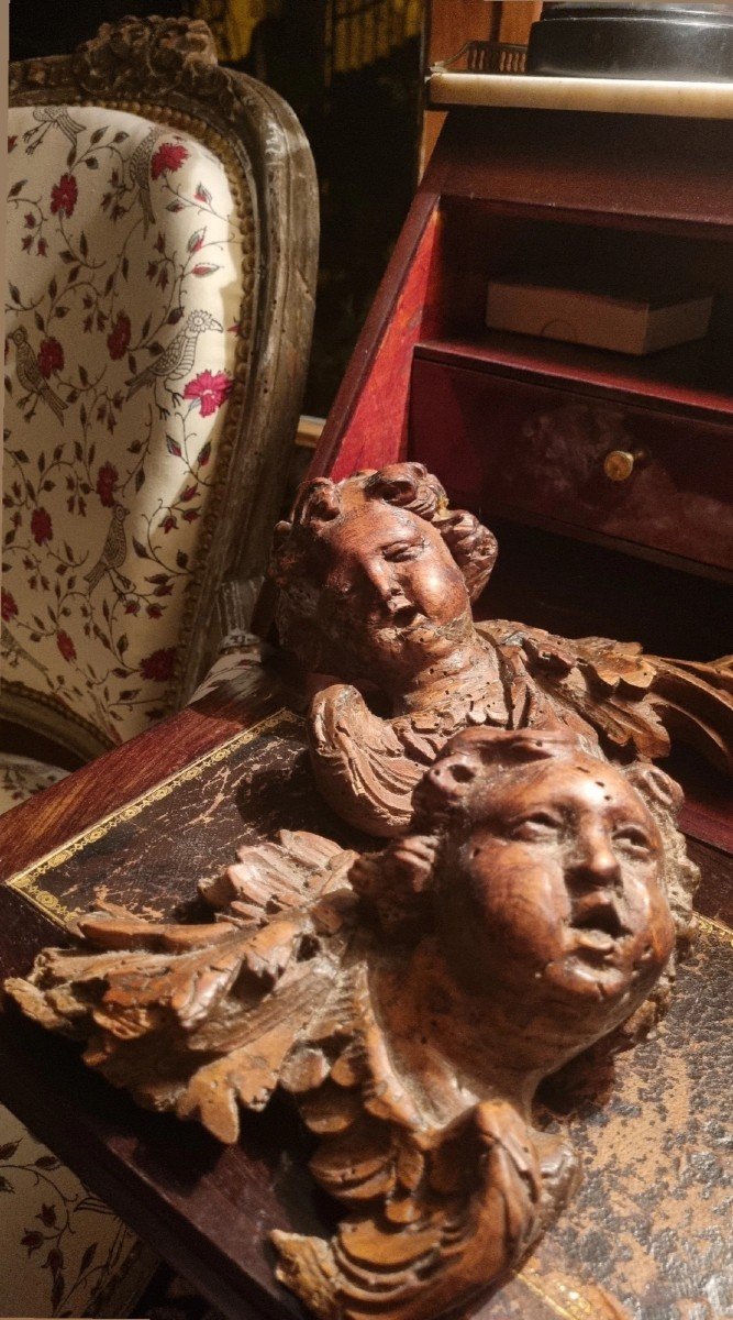 PAIRE ANGELOTS ANGES PUTTI BOIS SCULPTÉ XVIIe