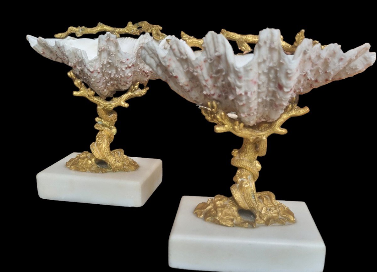 Pair Of Gilt Bronze Tridacne Pocket Trays Napoleon III Period Cassolettes-photo-3