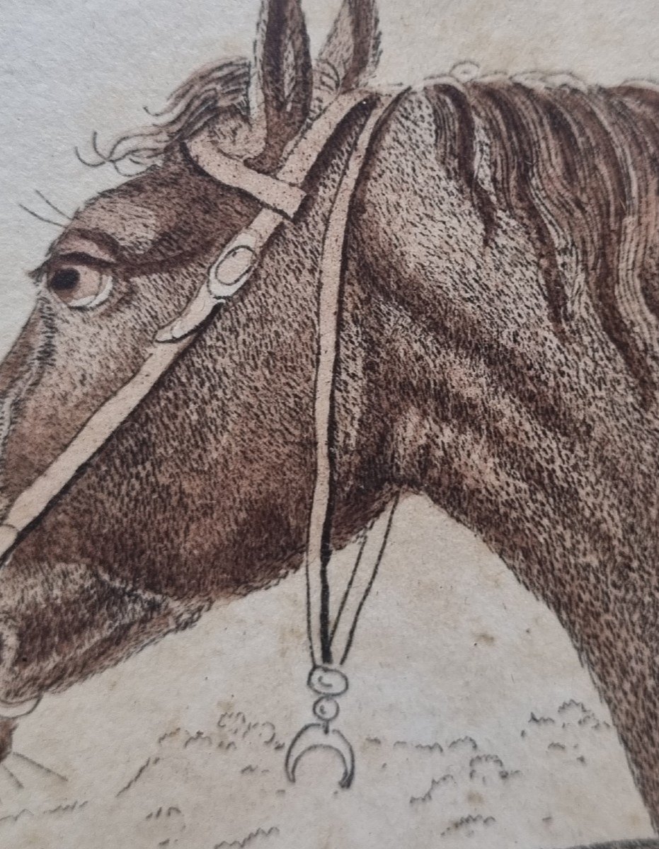 GRAVURE CHEVAUX BARBES ARABES  JOHANN GEORG PFORR XVIIIe XIXe -photo-6