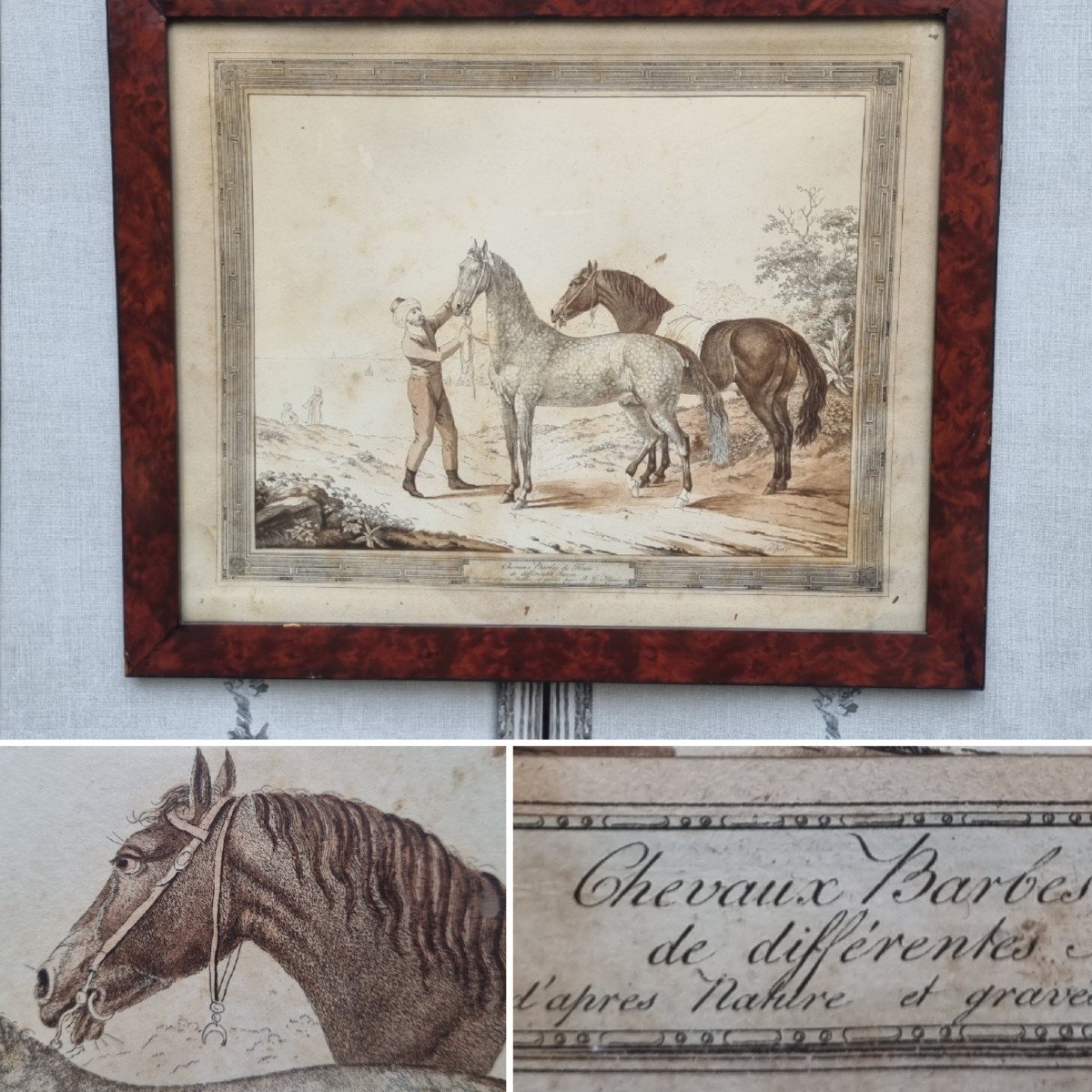 GRAVURE CHEVAUX BARBES ARABES  JOHANN GEORG PFORR XVIIIe XIXe 