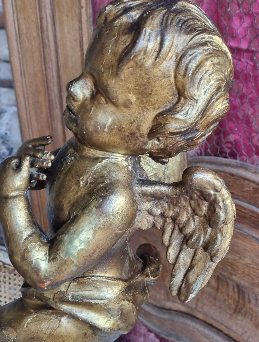 Angel In Carved Wood Putto Putti 18th Period -photo-2