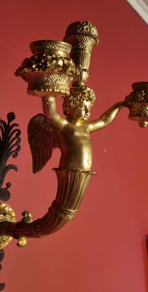 Golden Bronze Wall Light Charles-photo-2