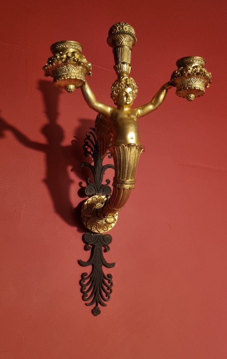 Golden Bronze Wall Light Charles-photo-3