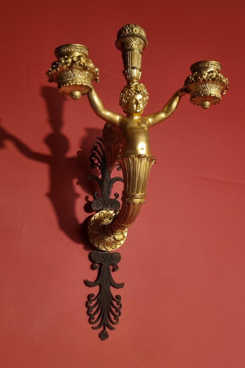 Golden Bronze Wall Light Charles