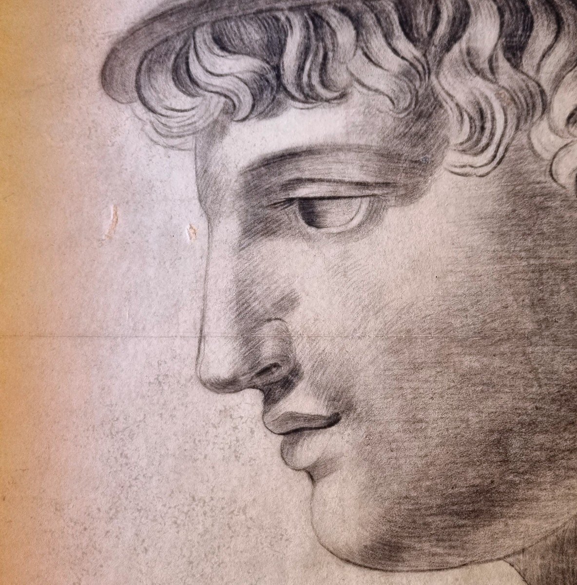 Charcoal Drawing Head Of Mercury Hermes Early 19th C.
