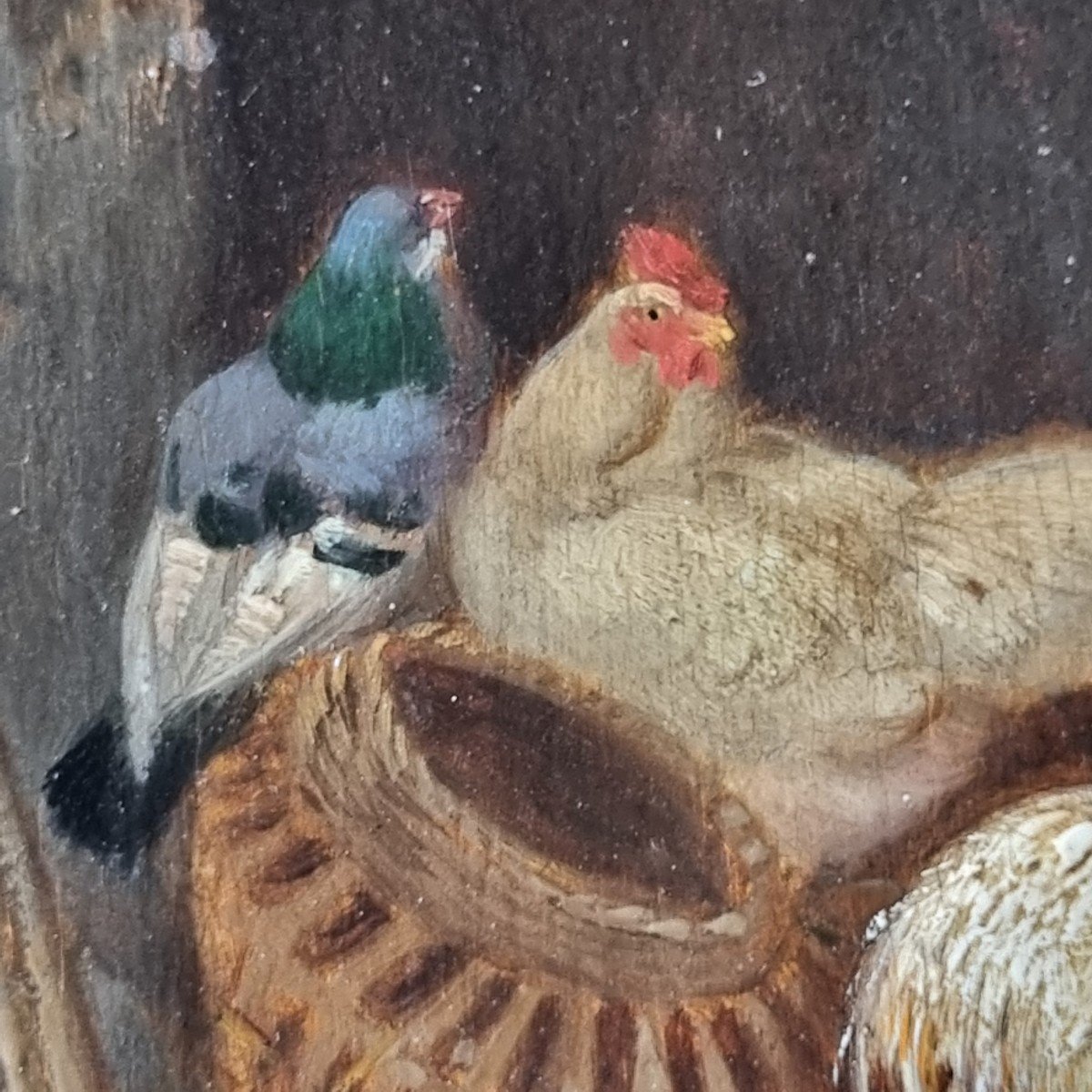 Claude Guilleminet The Farmyard Hen Cock Duck Pigeon.number 2-photo-1