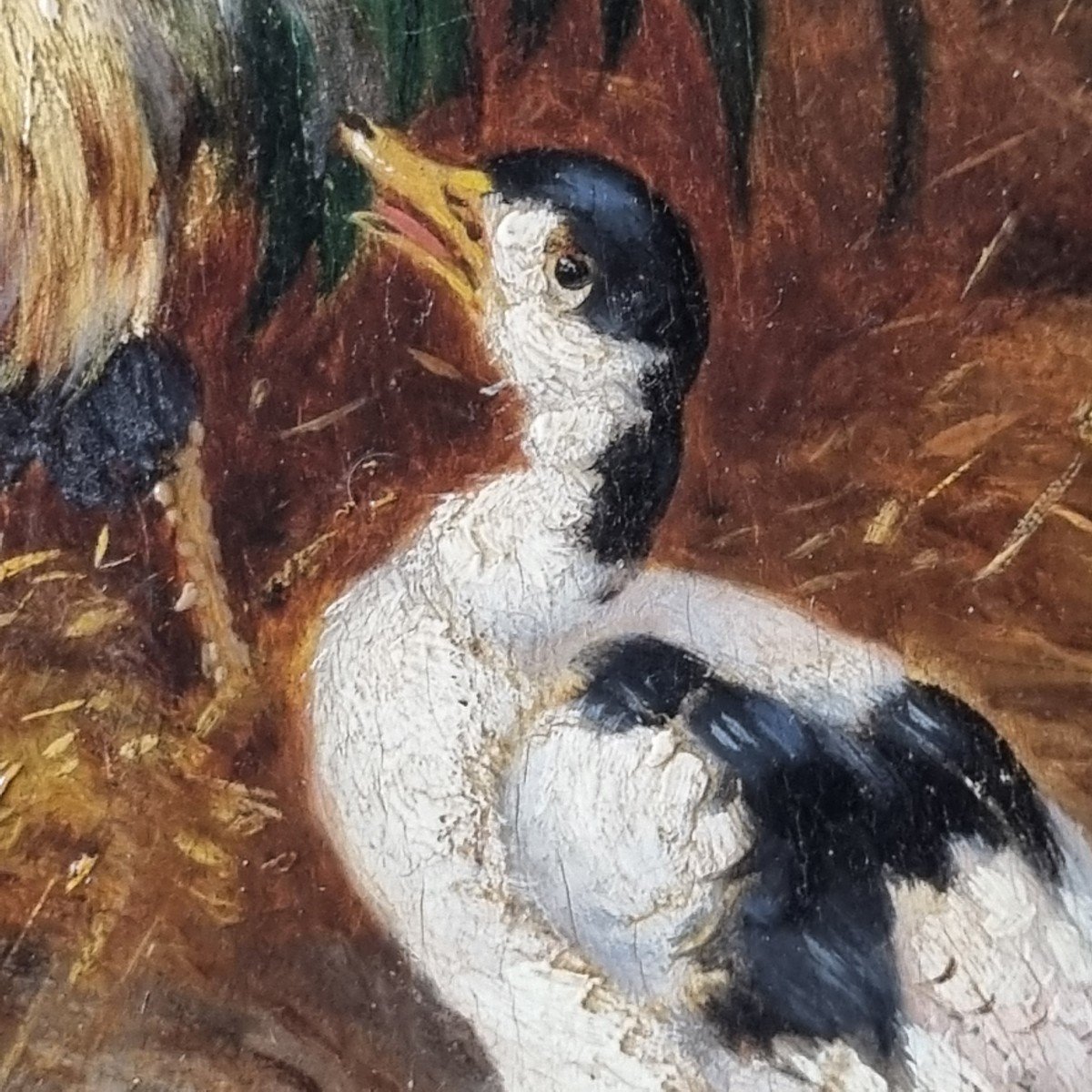 Claude Guilleminet The Farmyard Hen Cock Duck Pigeon.number 2-photo-2