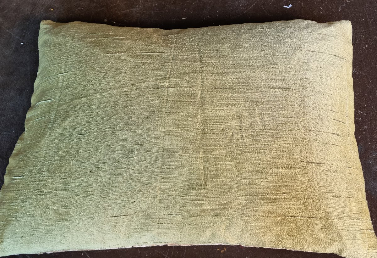COUSSIN DE STYLE DÉCORATION VELOURS CHIEN CHAT-photo-1