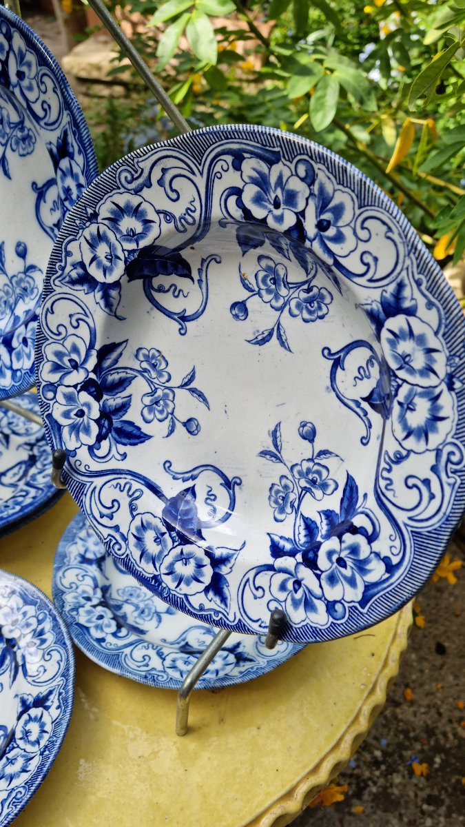 Set Of 10 Fine Creil And Montereau Earthenware Deep Plates Flora Service-photo-4
