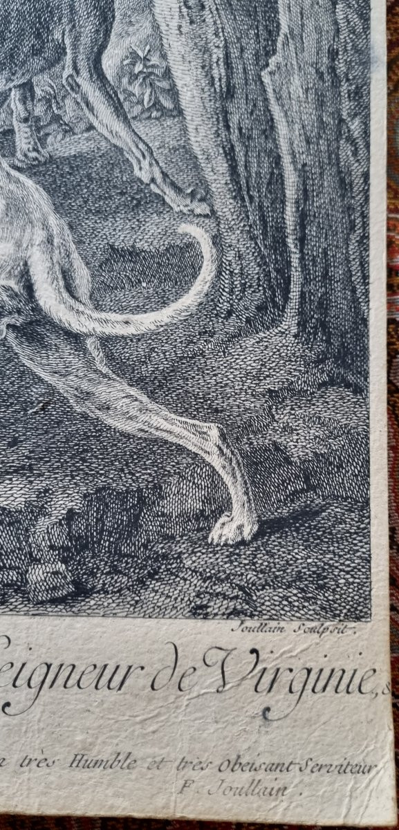 PAIRE GRAVURE D'APRÈS DESPORTES PAR JOULLAIN EPOQUE XVIIIe CHASSE CYNEGETIQUE SANGLIER  CHIEN-photo-3