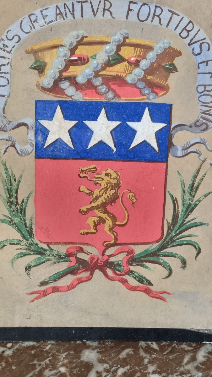 Painted Coat Of Arms, 19th Century, Baron Of The Bonnet De Chapoulie Family, Périgord, Crown -photo-1