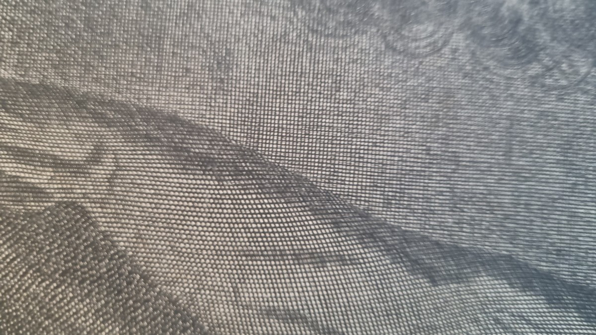 Engraving André Le Nôtre Jardinier De Versailles 17th Century Burin-photo-1