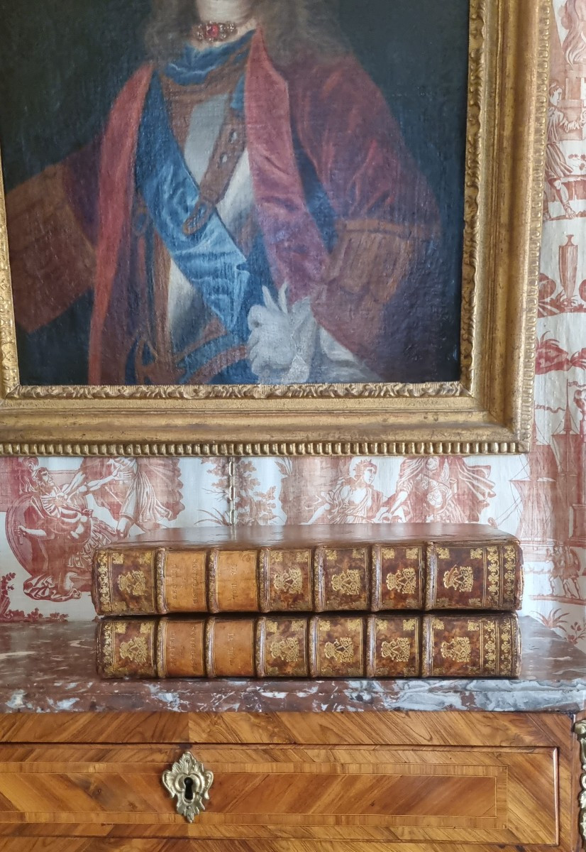 With The Arms Of Louis XV Livre Histoire De France 1749 Recueil Des Historiens-photo-3