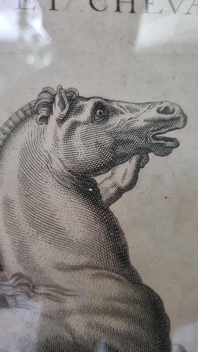 Pair Of Large 18th-century Engravings: Grand Tour, Horses, Antiquities-photo-3