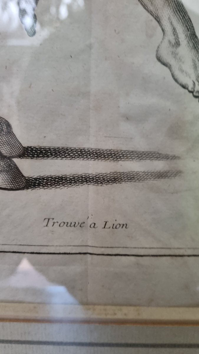 Pair Of Large 18th-century Engravings: Grand Tour, Horses, Antiquities-photo-4