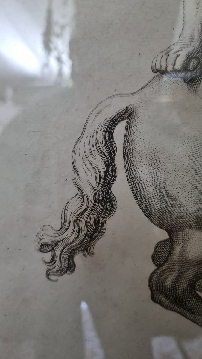 Pair Of Large 18th-century Engravings: Grand Tour, Horses, Antiquities-photo-5