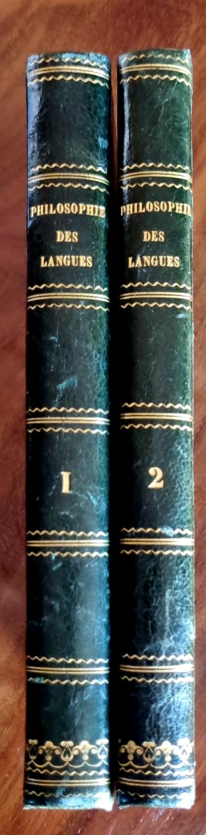 LIVRE ANCIEN ALBERT MONTÉMONT  PHILOSOPHIE DES LANGUES  1845-photo-2