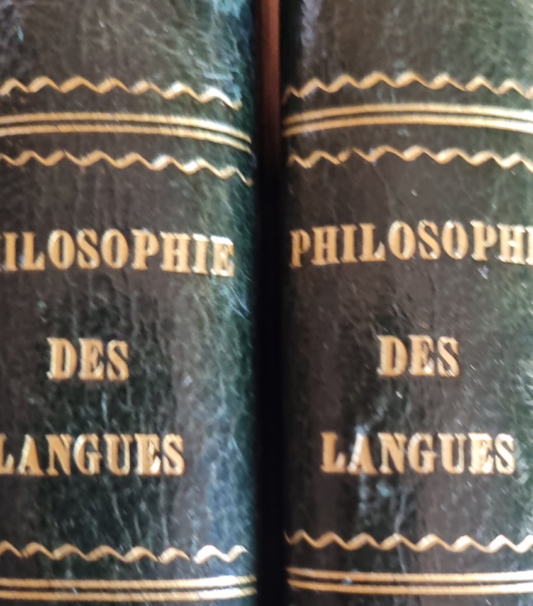 LIVRE ANCIEN ALBERT MONTÉMONT  PHILOSOPHIE DES LANGUES  1845-photo-3