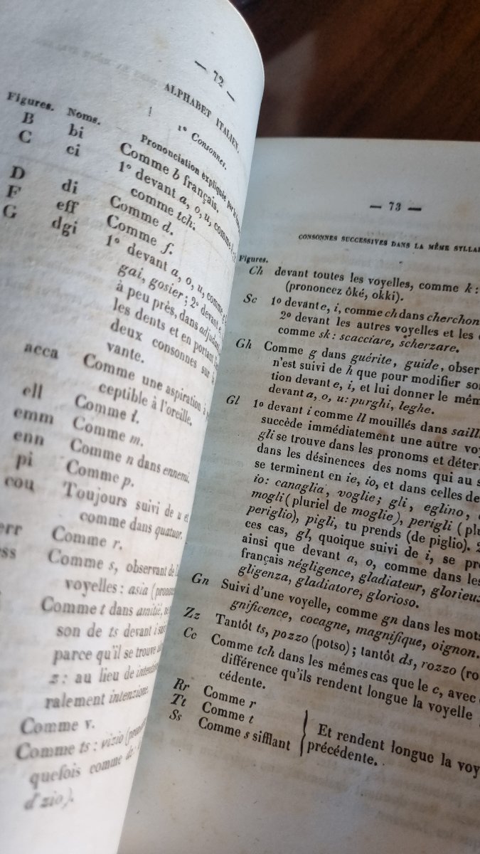 LIVRE ANCIEN ALBERT MONTÉMONT  PHILOSOPHIE DES LANGUES  1845-photo-3