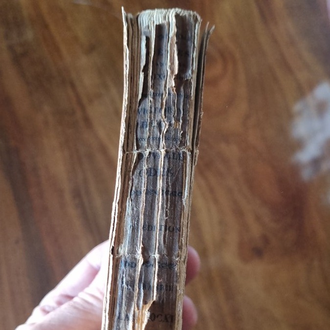 Victor Hugo, *new Odes*, First Edition, 1824-photo-3