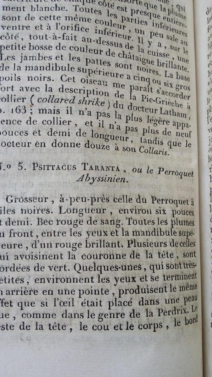 Henry Salt- Voyage En Abyssinie 1816 2 Vol-photo-5