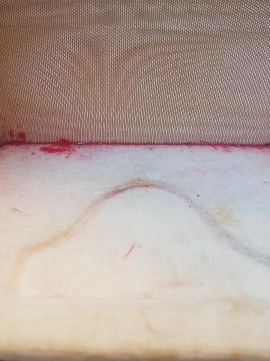 RELIQUAIRE D'OSTENTION BAISER DE PAIX JEAN MARTIN MOYE CHINE-photo-6