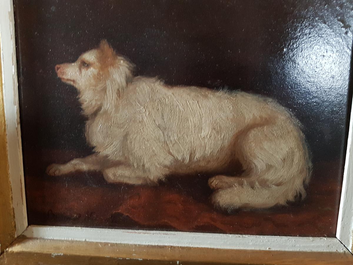 Portrait Of Dog By Brunel Of Neuville Hunting-photo-2