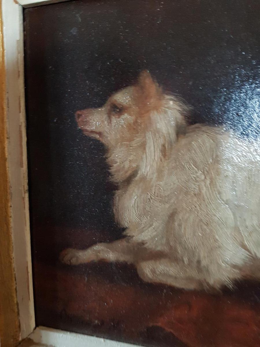 Portrait Of Dog By Brunel Of Neuville Hunting-photo-3