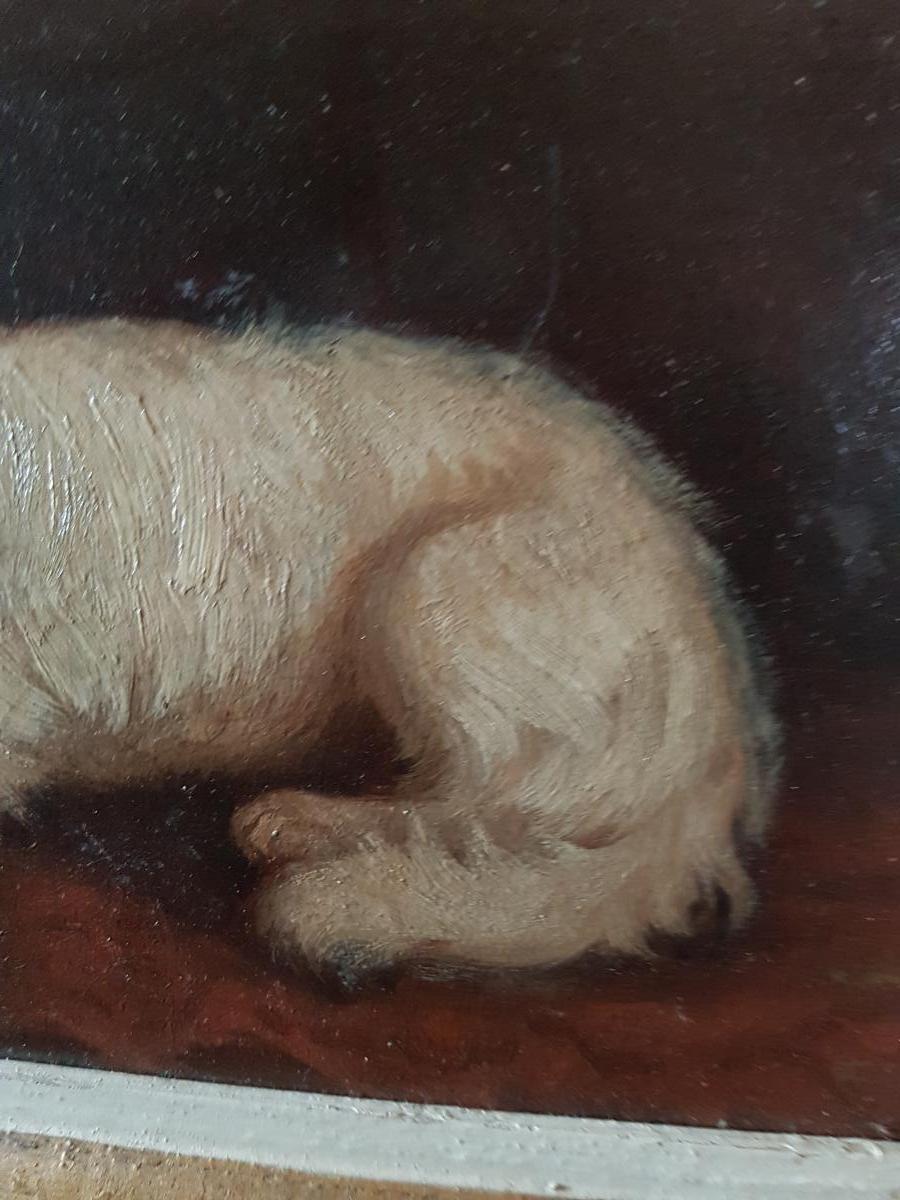 Portrait Of Dog By Brunel Of Neuville Hunting-photo-1
