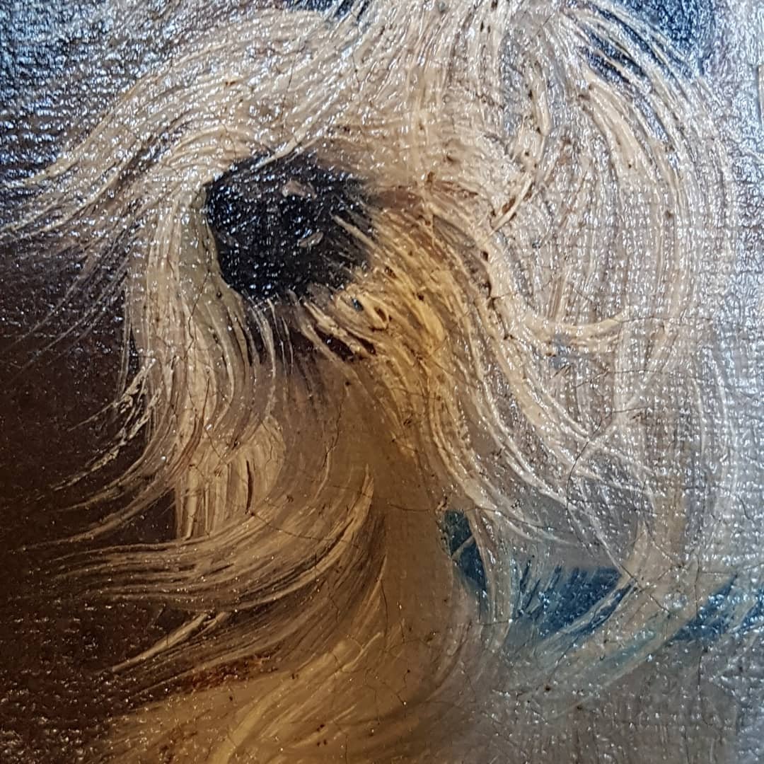 Portrait Of Dog Napoleon III Bichon In 1850-photo-4