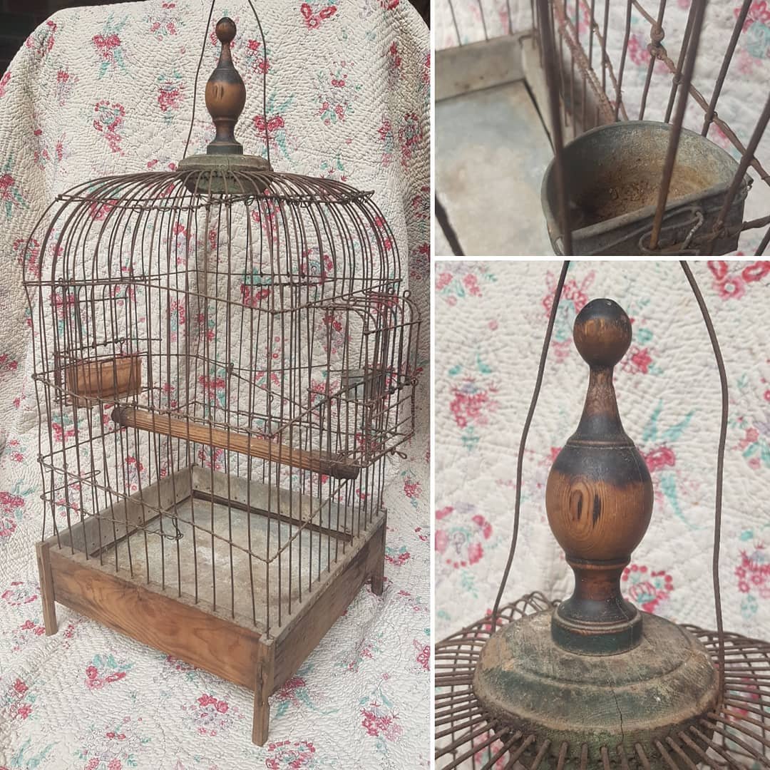 Napoleon III Bird Cage XIXth Bird Parrot